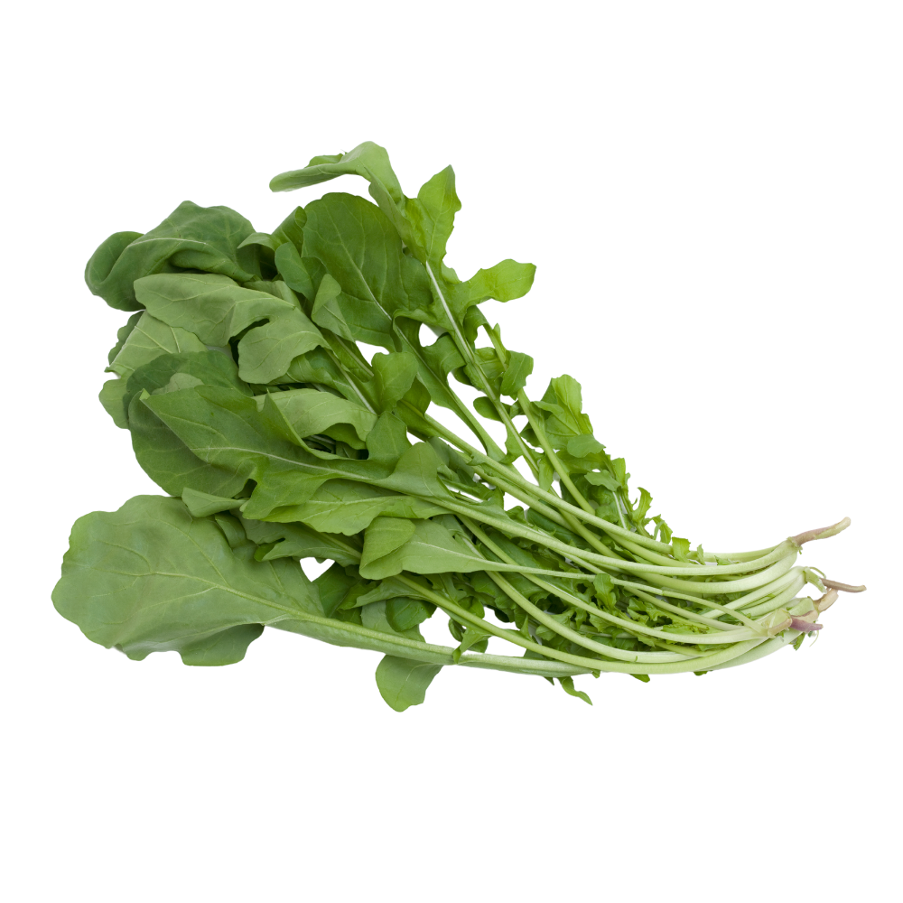 ルッコラ｜ iDOO水耕栽培（家庭菜園）