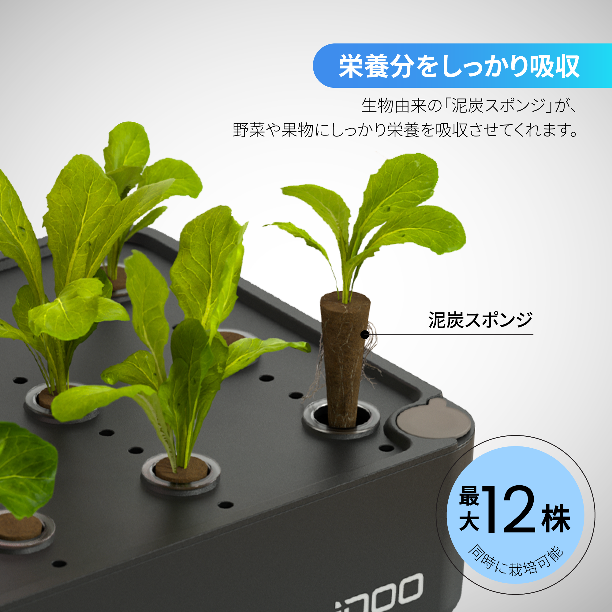 iDOO 水耕栽培ガーデンキット12個ポット 黒 モデルID-IG301 iDOO 水耕栽培キット - 屋内ガーデン - 12株