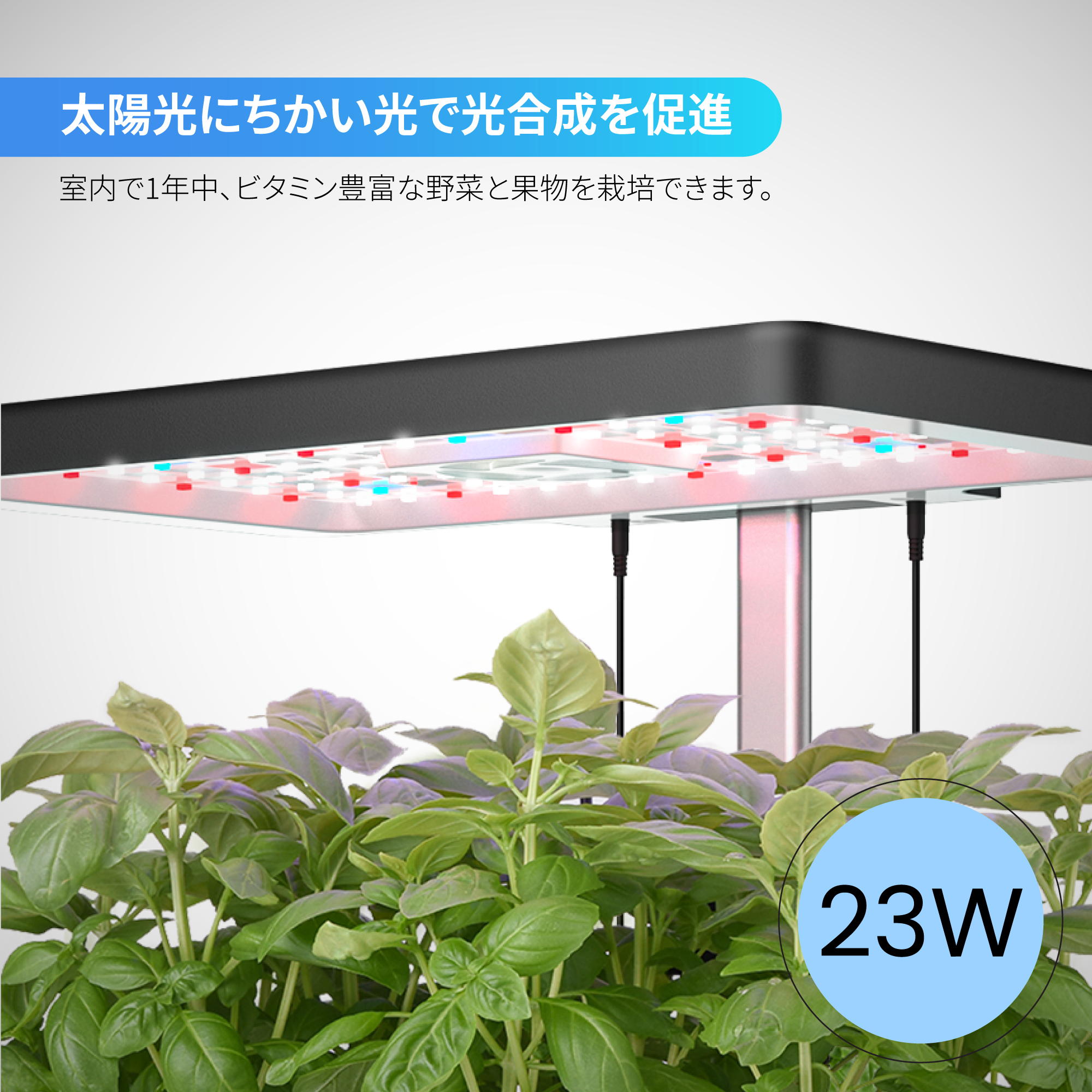 iDOO 水耕栽培キット - 屋内ガーデン - 12株 iDOO 水耕栽培キット - 屋内ガーデン - 12株