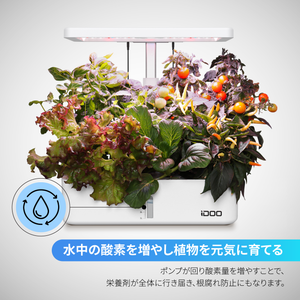 iDOO 水耕栽培キット - 屋内ガーデン - 12株 iDOO 水耕栽培キット - 屋内ガーデン - 12株
