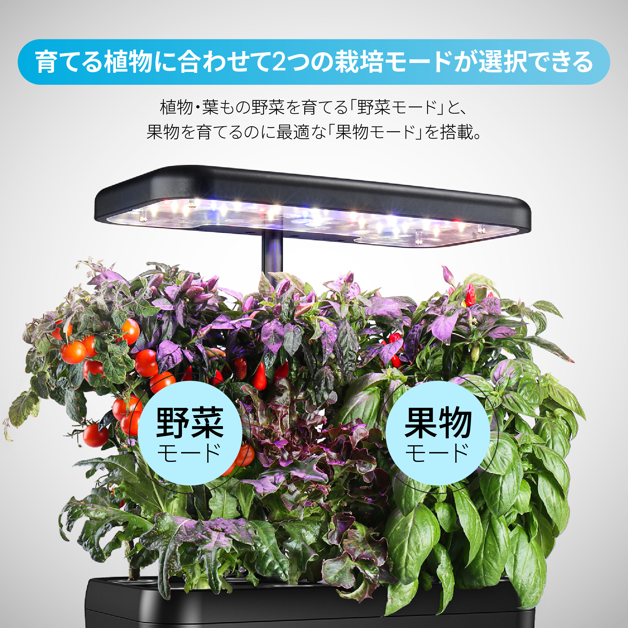 iDOO 水耕栽培キット - 屋内ガーデン - 8株 iDOO 水耕栽培キット - 屋内ガーデン - 8株