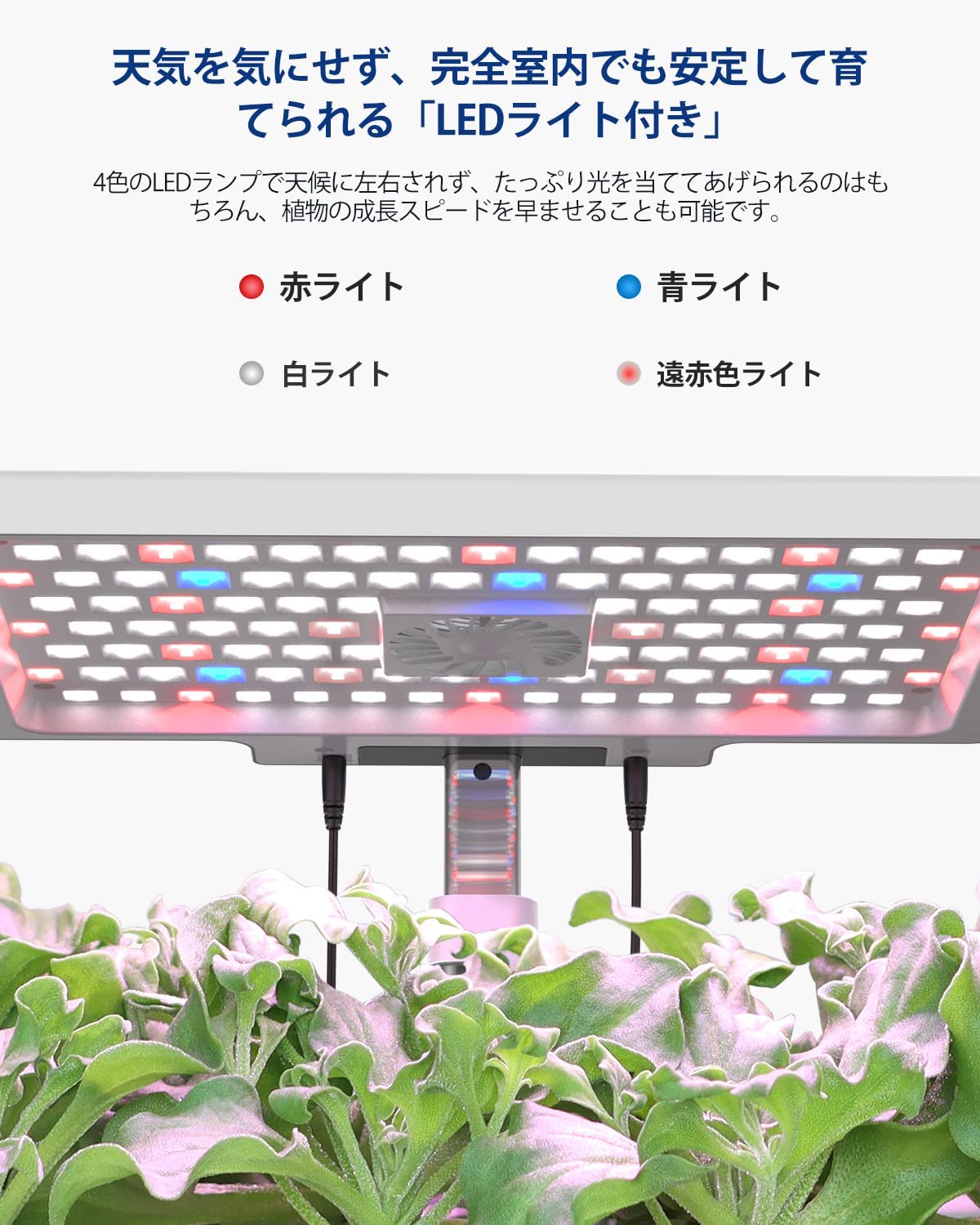 Smart Bloom iDOO Smart Bloom 12 アプリ連動水耕栽培キット - 室内園芸 - 12株